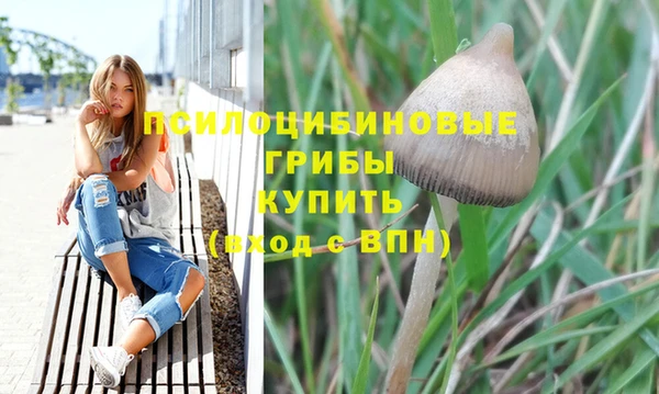 кристаллы Абаза