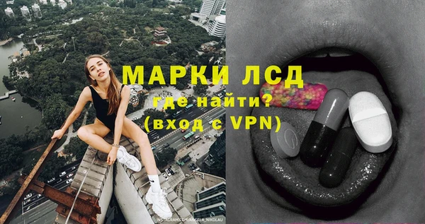 стафф Покачи