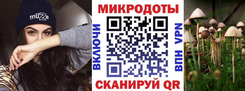 нарко площадка как зайти Струнино Галлюциногенные грибы Magic Shrooms